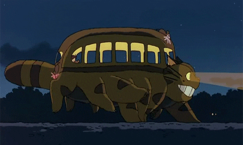  Gato bus de totoro corriendo