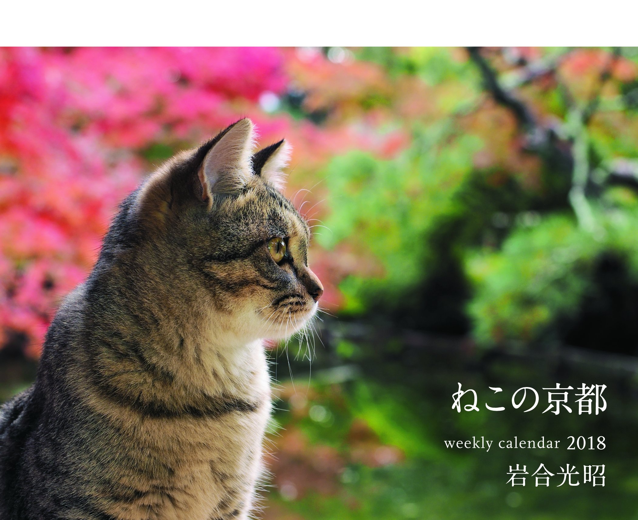 Iwago Mitsuaki cats calendar - Proxy Service - ZenMarket