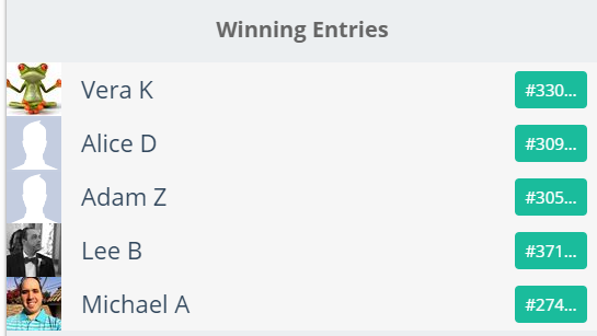 ZenMarket Mega Giveaway Winners