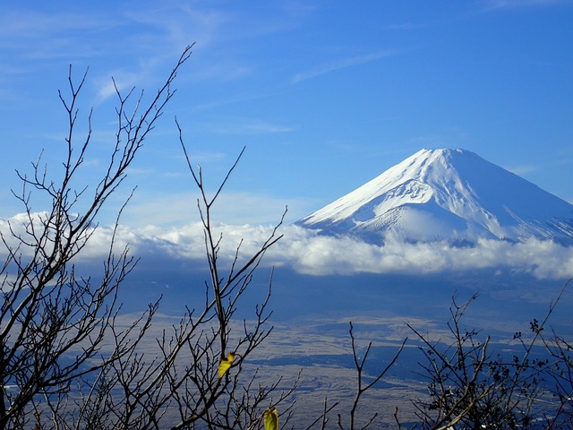 вид на гору Фудзи из Хаконе - ZenMarket