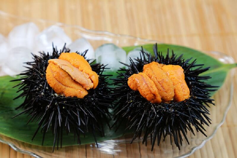 Sea Urchin - Uni