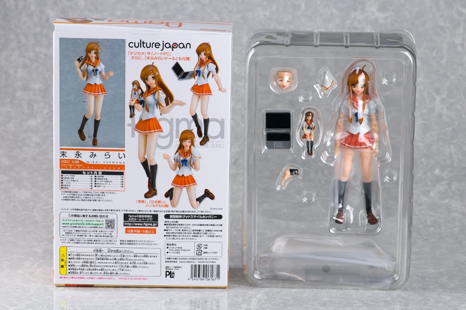 An authentic figure in it's plastic wrapping including other accessories